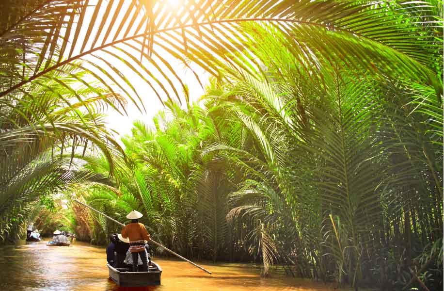 Mekong Delta Bike